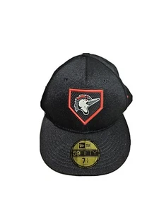 Men's New Era Black Fayetteville Woodpeckers Authentic Collection 59FIFTY 7 1/2 - Picture 1 of 6