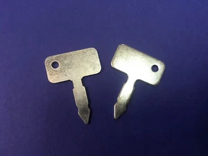 2 Lot Fits Landini Tractor Ignition Switch Key Globus Rex 55 60 75 85 3813361M1 - Picture 1 of 1