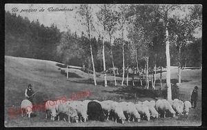 ag0055 - CARTOLINA D'EPOCA - Firenze Provincia - Vallombrosa 1915 - Picture 1 of 1
