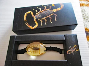 Pulsera Arizona Escorpión Negro en Lucita con Cordón - Imagen 1 de 4