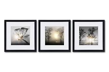 Black and White Tree Wall Art Scenery Printed Artwork with off White Matte Cl...
