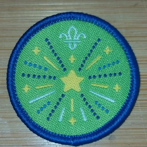 UK Scouting Current Squirrel Activity Badge Let's Celebrate NEW LOGO - Picture 1 of 1