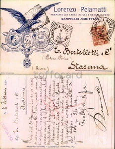 LIVORNO PROVINCIA-CAMPIGLIA MARITTIMA-PUBBLICITA' TESTATINA PELAMATTI D17-69 - Picture 1 of 1