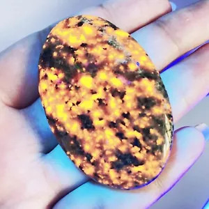 US großer natürlicher Yooperlite UV fluoreszierender leuchtender Feuerstein Flamme Trommelstein - Bild 1 von 7