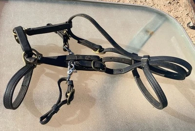 Black Leather Halter Bridle Combo - with Brass Hardware - well made! - Image 1 of 4