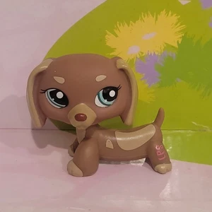 Littlest Pet Shop LPS Dachshund perro marrón beige con ojos verdes #1751  - Imagen 1 de 5