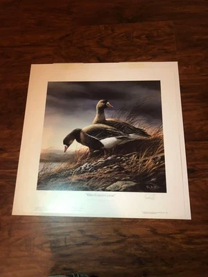 Terry Redlin 1985 Minnesota Duck Print “White Frontrd Geese.” Firmado #258/960 Foto 1 de 4