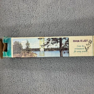 Vintage Lake Scene 8x13 Feet Environmental Graphics Wall Mural Decor - Picture 1 of 16