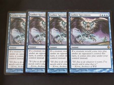 4 x Gather Specimens - Blue - Shards of Alara Mtg Magic - Rare - MP / LP