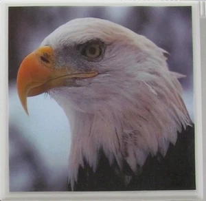 Juego de 1 - Posavasos de azulejos de cerámica hechos a mano - Eagle (Compra 3 y obtén 1 gratis) 2 B - Imagen 1 de 6