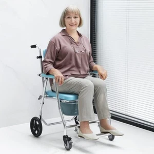 OasisSpace Commode Rolling Folding Shower Wheelchair 300 lb Padded Seat Armrest - Picture 1 of 10