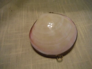 Vintage Unique Coin Purse Made From Seashell With Brass Hinge and Trim - Picture 1 of 7