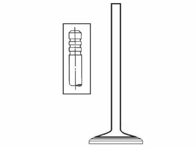 ITM Intake Valve fits Dodge Nitro 2007-2010 3.7L V6 VIN: K 12Valve SOHC 58FZDT - Image 1 of 1