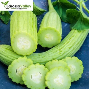 CUCUMBER Armenian 18 Seeds GROW Heirloom VEGETABLES Spring SUMMER Salad - Picture 1 of 5