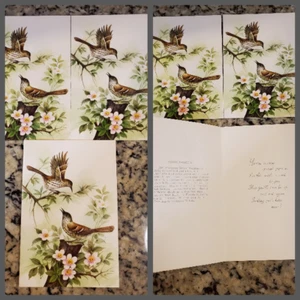 Juego de 14 tarjetas de felicitación vintage varias "bellezas aladas" con sobres verdes - Imagen 1 de 9