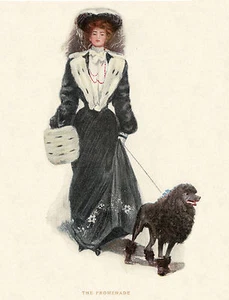 POODLE AND EDWARDIAN LADY CHARMING DOG GREETINGS NOTE CARD - Zdjęcie 1 z 1