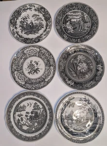 Spode Black Speiseteller Archive Georgian 6er Set - Bild 1 von 10