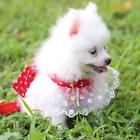 Red 2Xl Cat Sweet Bow Chest Strap Leash Dog Pet Clothing Red 2Xl Sg5