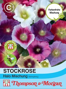 Stockrose 'Halo Mischung' - Alcea rosea, Samen, 09412 - Bild 1 von 2