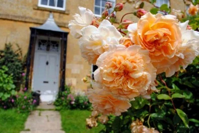 Фотография Blockley Village загородный коттедж сад Котсуолдс Глостершир - Изображение 1 из 4