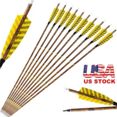 30" Carbon Arrows SP500 4" Turkey Feather Screw Tips Points Archery Bow Hunting - Image 1 of 4