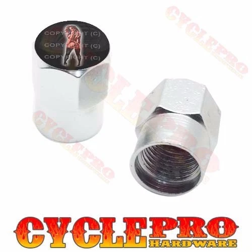2 Tapas de válvula personalizadas de aluminio Billet plateadas hexagonales para motocicleta - TATTOO G Foto 1 de 1