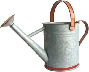 Metal Watering Can for Outdoor Indoor Plants, Watering Can Decor, 1 Gallon - Picture 1 of 7