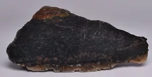 ACASTA GNEISS SLICE, "OLDEST ROCK" HADEAN AGE, CANADA S1260 - Picture 1 of 7