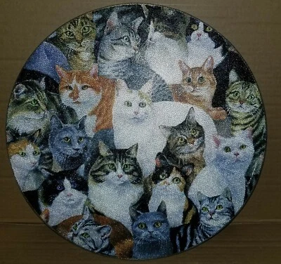 Tocadiscos de plástico acrílico de 16" de diámetro Lazy Susan CATS Foto 1 de 3