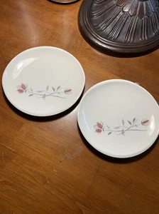 (2) Franciscan Duet Rose bread & butter, perfect condition! - Picture 1 of 12