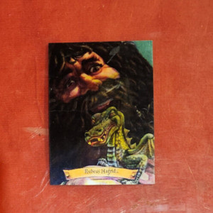 Harry Potter Chocolate Frog Trading Cards Rubeus Hagrid #6 / 12 2004