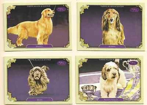 2024 Topps Allen & Ginter Westminster Insert set! Pick You Dog or Set - Picture 1 of 36