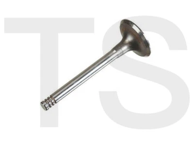 Válvula de entrada VW T4 Transporter 1.9D 2.4D (1991-2003)  Foto 1 de 2