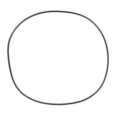 Junta tórica Dayton Pp60078g, Pp60078g Foto 1 de 1