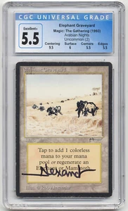 Graded Signed Altered Elephant Graveyard Arabian Nights Artist Rob Alexander MTG - Picture 1 of 2