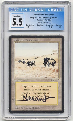Graded Signed Altered Elephant Graveyard Arabian Nights Artist Rob Alexander MTG - Image 1 of 2