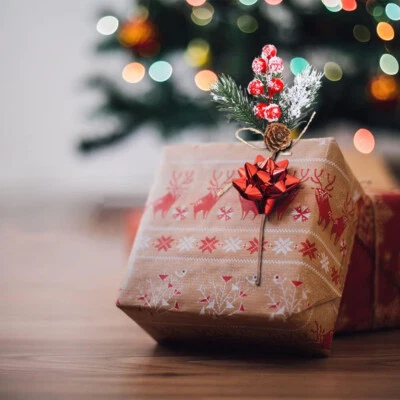 5X Christmas Artificial Branches For Arrangement/Indoor Lantern/Wreath Design - Image 1 of 4