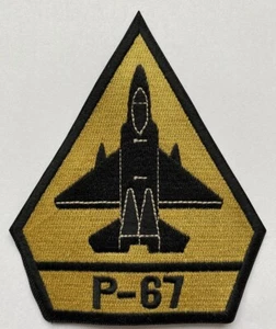 POLO RALPH LAUREN COMBAT UTILITY MILITARY M65 P-67 STRIKE GROUP PATCH !!!! - Picture 1 of 1