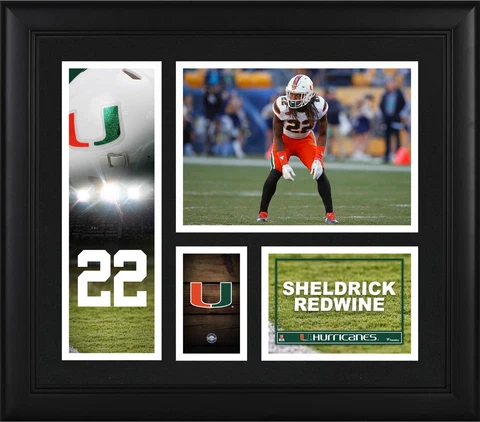Sheldrick Redwine Miami Hurricanes Framed 15" x 17" Player Collage Cover