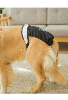 Pet Dog Nappy Physiological Sanitary Panties Underwear Female Puppy Diaper Pants - Image 1 of 4