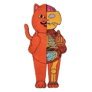 RipNDip Nermal Anatomy Rug Devil Orange 6ft LE 100 Limited Rare Sold Kaws - Picture 1 of 4