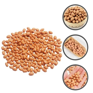 Artificial Nuts Peanut Kernels Realistic Food Props Fake Decor Simulation - Picture 1 of 12