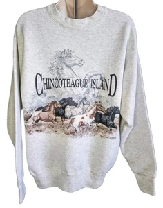 Sudadera De Colección Años 90 Isla de Chincoteague de San Segal Cuello Redondo Talla M Ecuestre - Imagen 1 de 13