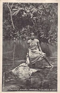 Trinidad - Indian country washer woman - Publ. Muir, Marshall & Co. - Picture 1 of 2