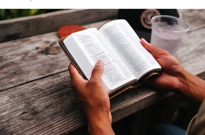 ESV Bibel - Bild 1 von 5