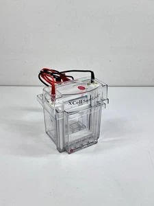 Invitrogen XCell SureLock Mini Cell Elektrophorese System Novex - Bild 1 von 7
