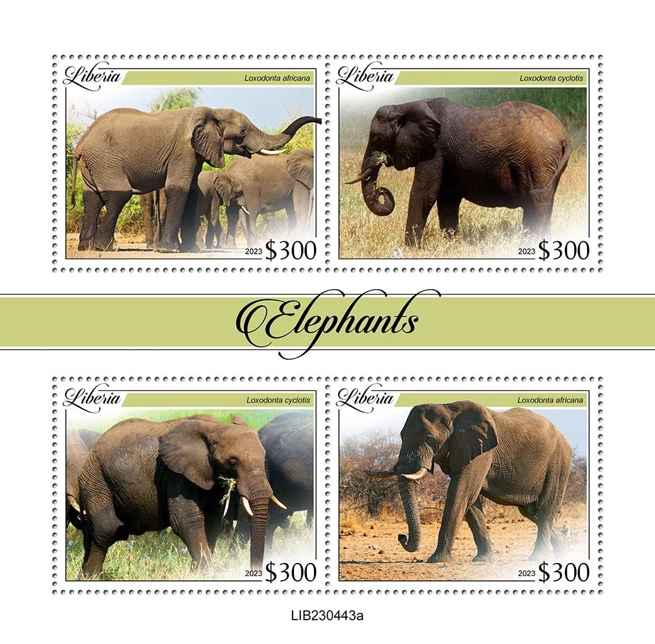 Elephants MNH Stamps 2023 Liberia M/S - Image 1 of 1