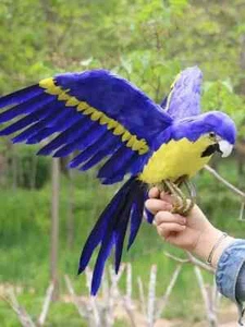 simulation blue foam&feather wings parrot model bird gift about 42x60cm - Picture 1 of 2