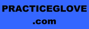 PRACTICEGLOVE.com Premium Domain Name Practice Glove Golf Baseball Football - Picture 1 of 1
