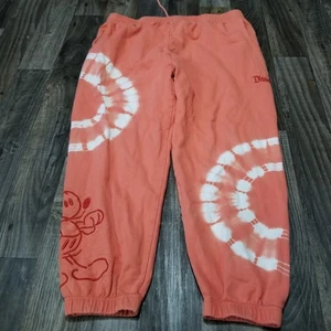 Disneyland Resorts Heavy Weave Fleece Sweatpants Lounge Pants Size XXL - Picture 1 of 14